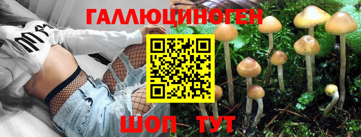 Красноуфимск  Псилоцибиновые грибы Magic Shrooms  Галлюциногенные грибы мицелий  Вход с VPN 
